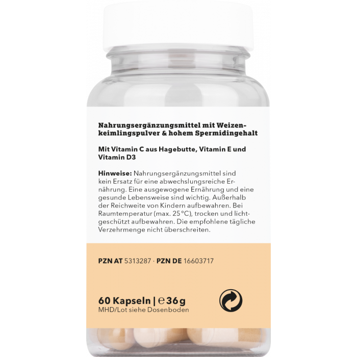 Spermidin Ursprung 60 Kapseln - NEUROGOLD