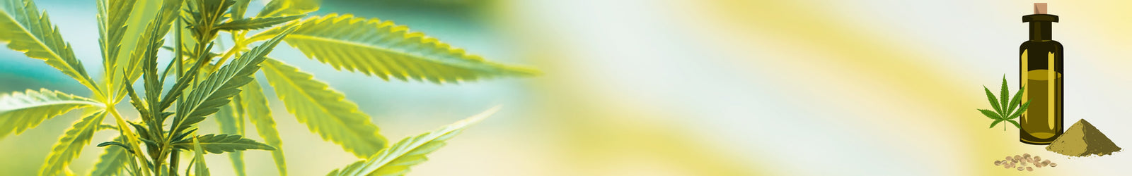Hanfsamenöl mit CBD