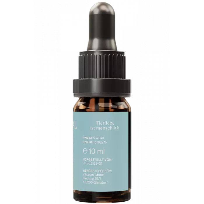CBD Vital VET CBD Extrakt Premium 10 für Hunde 10ml
