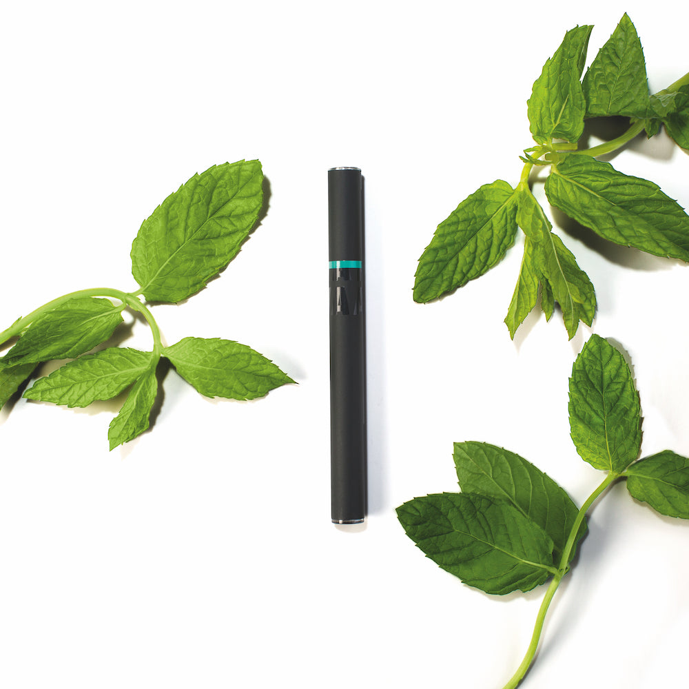 Vaay CBD Diffuser Pen Minze - NEUROGOLD