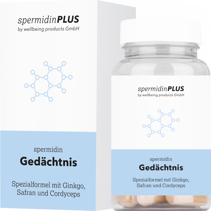 Spermidin Gedächtnis verbessert Denkvermögen - NEUROGOLD